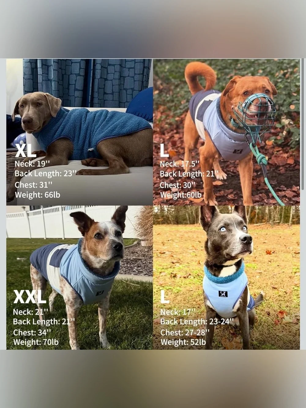 Arblina Reversible Dog Winter Coat, Waterproof Warm Fleece Sweater Windproof XXL